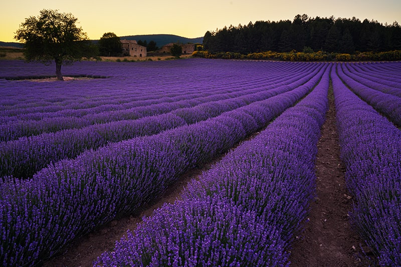 Provence Photography Workshop and Tour 05