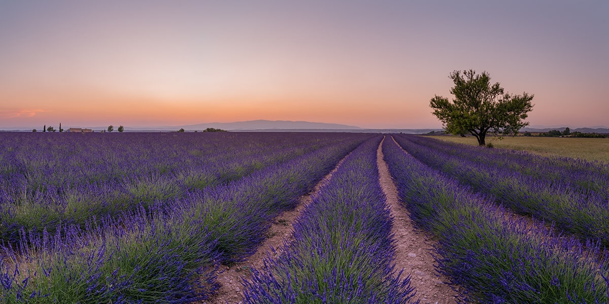 Provence Photography Workshop and Tour 08 Provence Photography Workshop and Tour 08