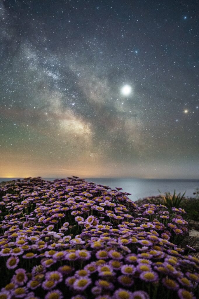Dorset Astrophotography Landscape Workshop 10