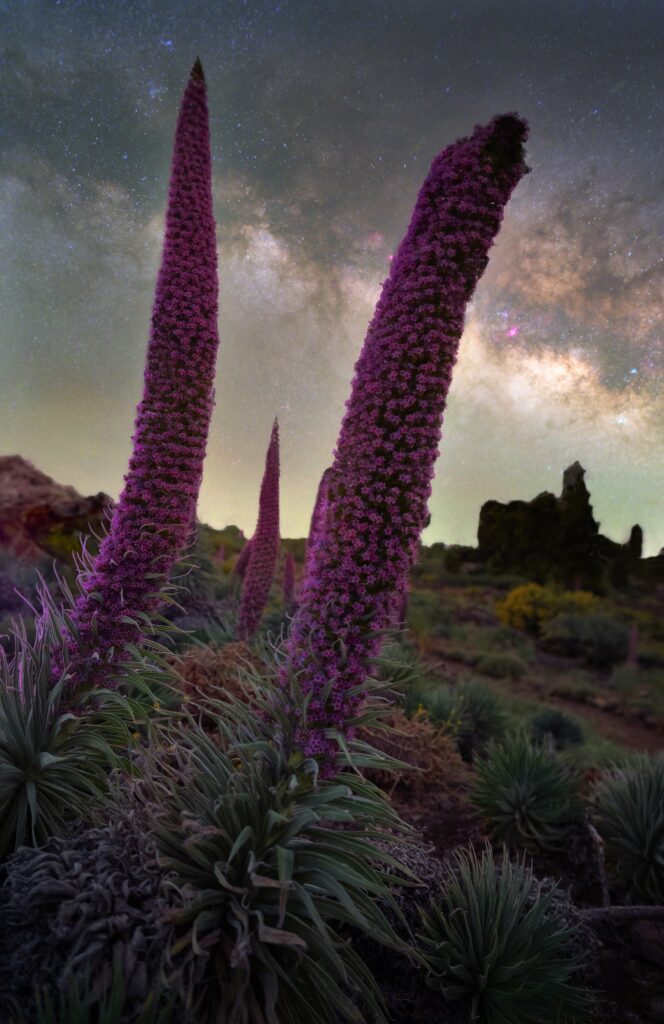 La Palma Astrophotography Workshops 22
