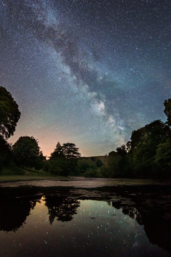 Little Breedy Milky Way Dorset
