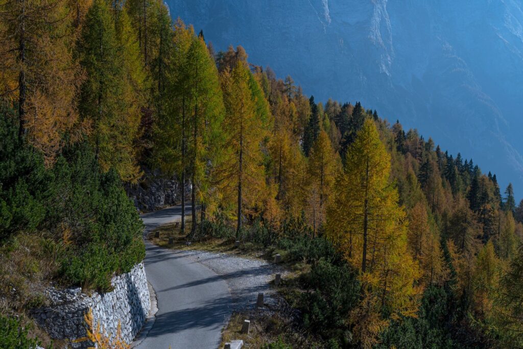 Beautiful Slovenia 4